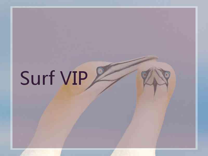 Surf VIP