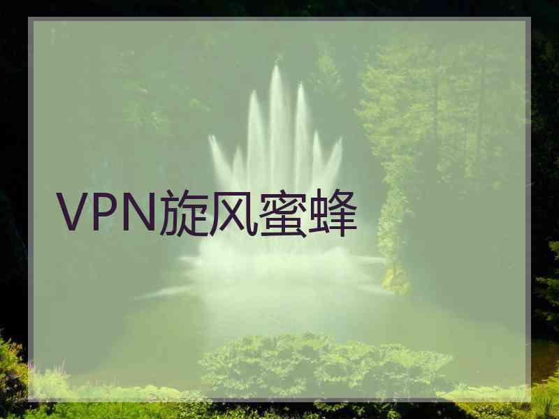 VPN旋风蜜蜂