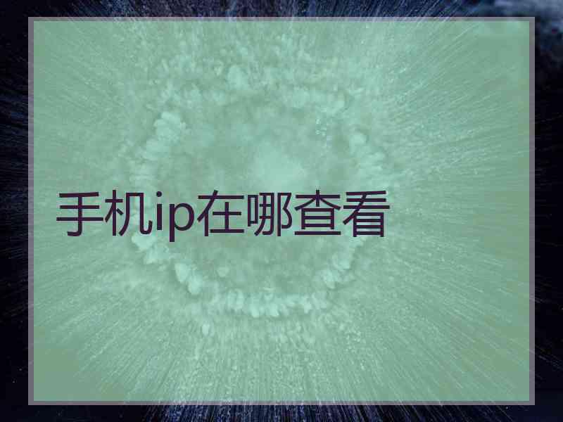 手机ip在哪查看