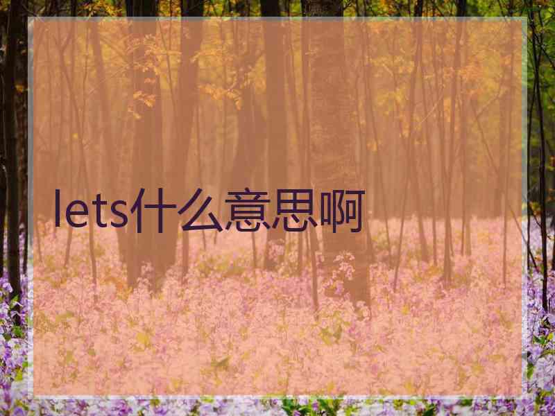 lets什么意思啊