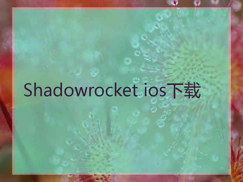 Shadowrocket ios下载