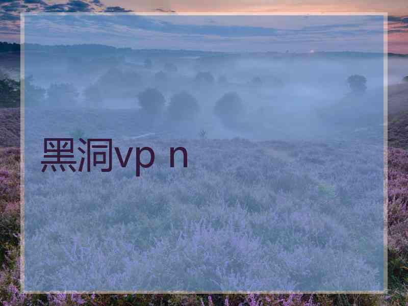 黑洞vp n