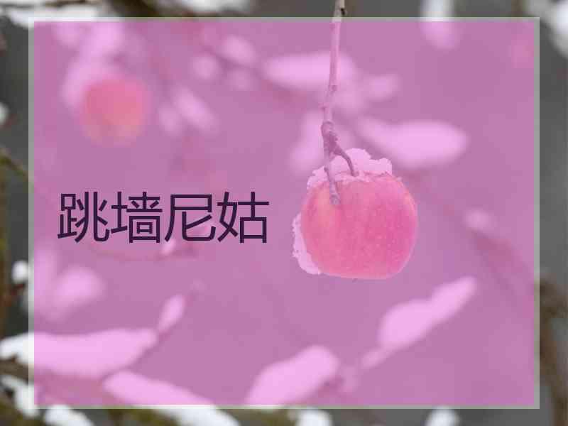 跳墙尼姑