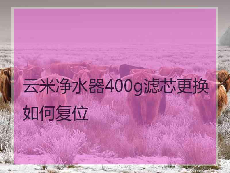 云米净水器400g滤芯更换如何复位