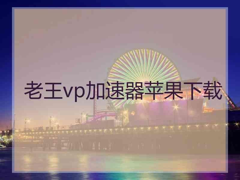 老王vp加速器苹果下载