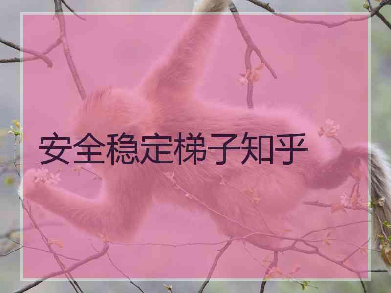 安全稳定梯子知乎