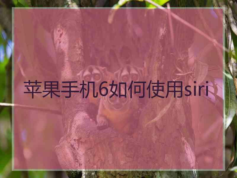 苹果手机6如何使用siri