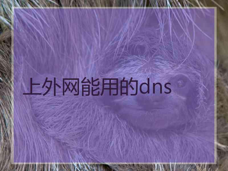 上外网能用的dns