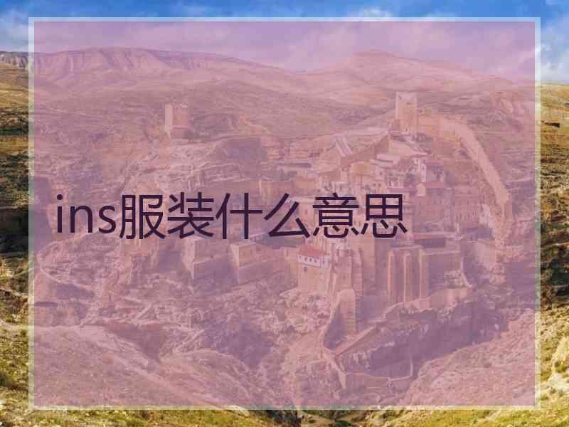 ins服装什么意思