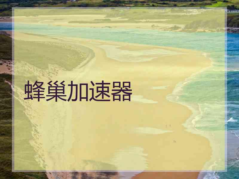蜂巢加速器