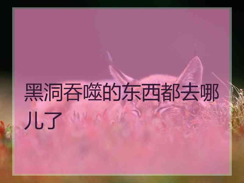 黑洞吞噬的东西都去哪儿了