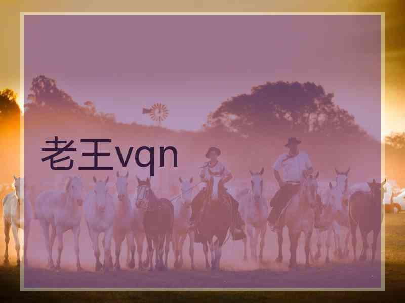 老王vqn