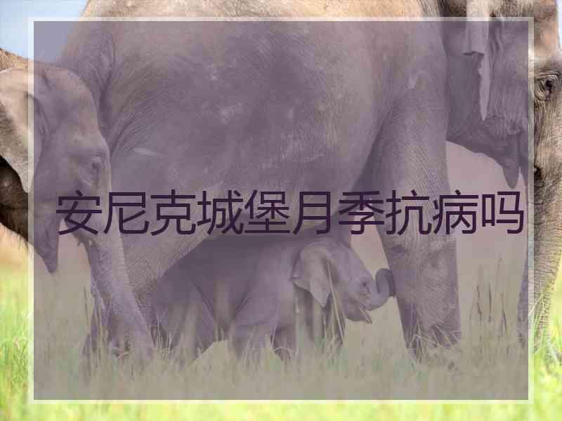 安尼克城堡月季抗病吗