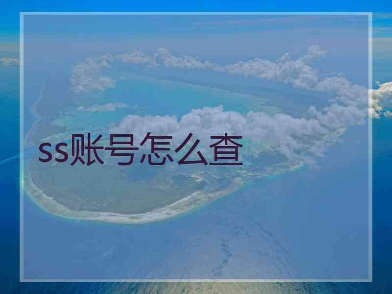 ss账号怎么查