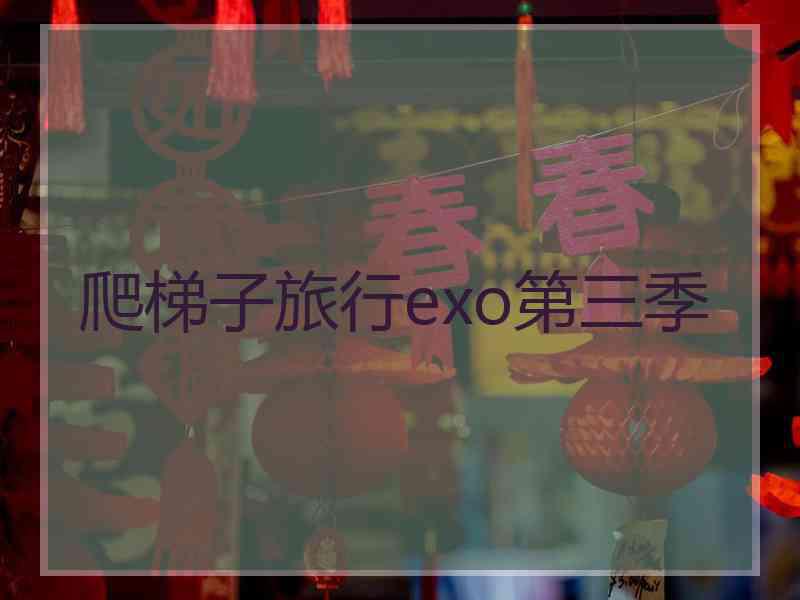 爬梯子旅行exo第三季