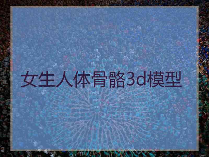 女生人体骨骼3d模型