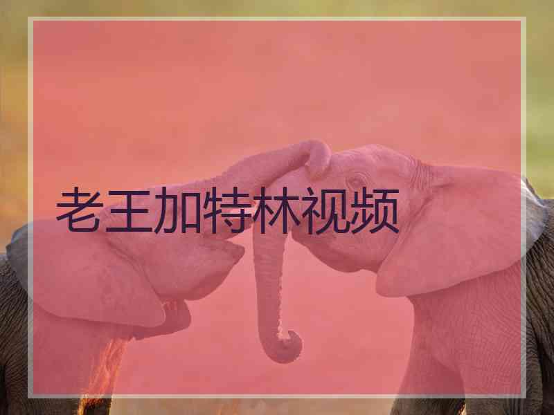 老王加特林视频