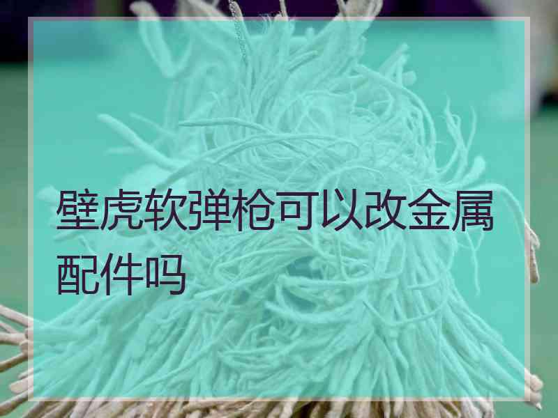 壁虎软弹枪可以改金属配件吗