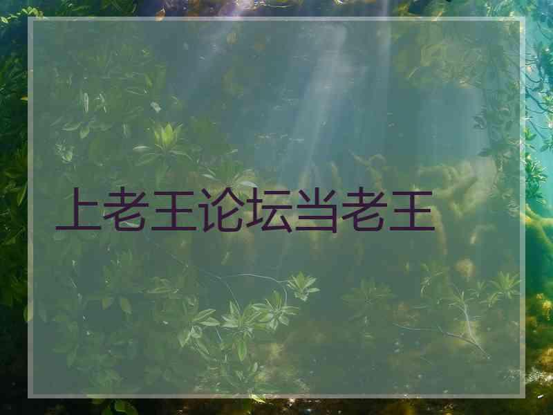 上老王论坛当老王