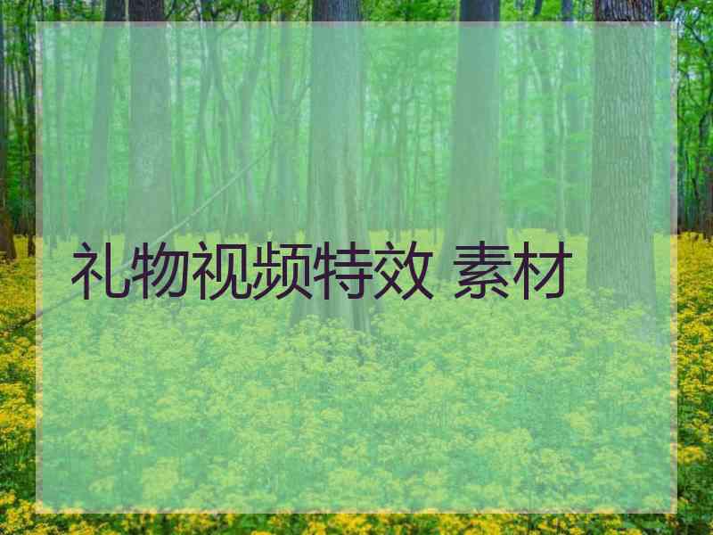 礼物视频特效 素材