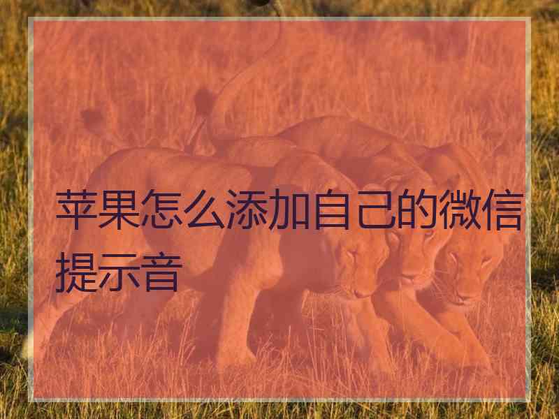 苹果怎么添加自己的微信提示音