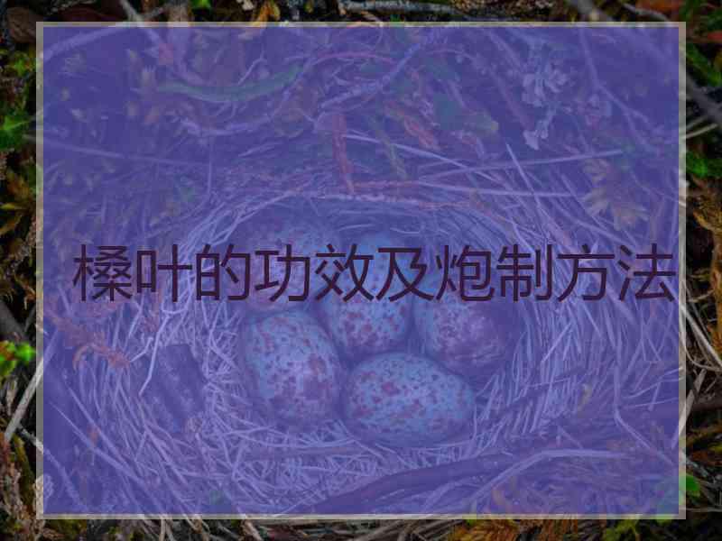 槡叶的功效及炮制方法