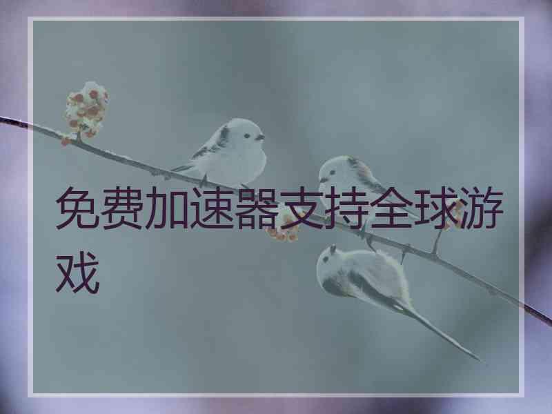 免费加速器支持全球游戏