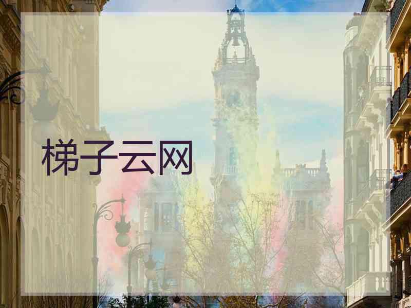 梯子云网