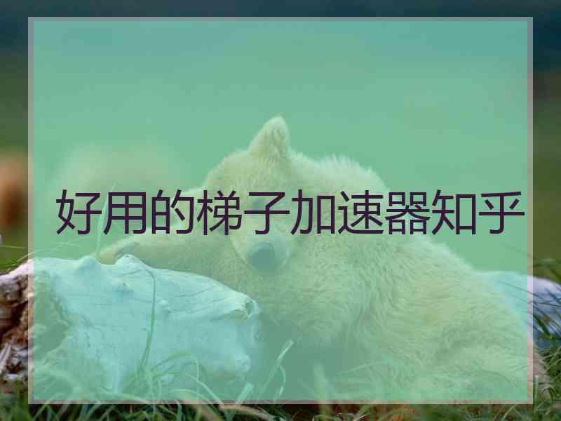 好用的梯子加速器知乎