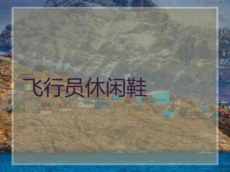 飞行员休闲鞋