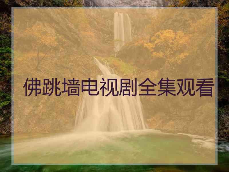 佛跳墙电视剧全集观看
