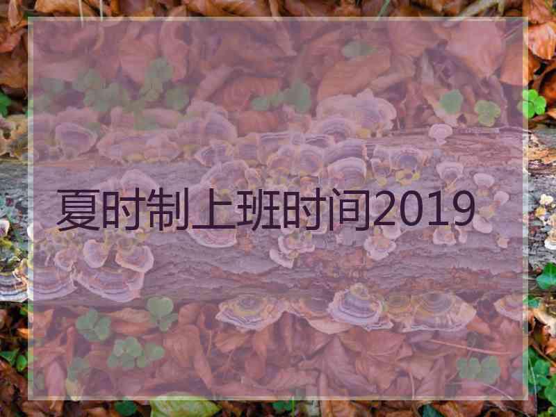 夏时制上班时间2019