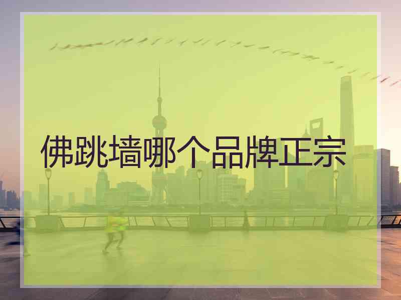 佛跳墙哪个品牌正宗