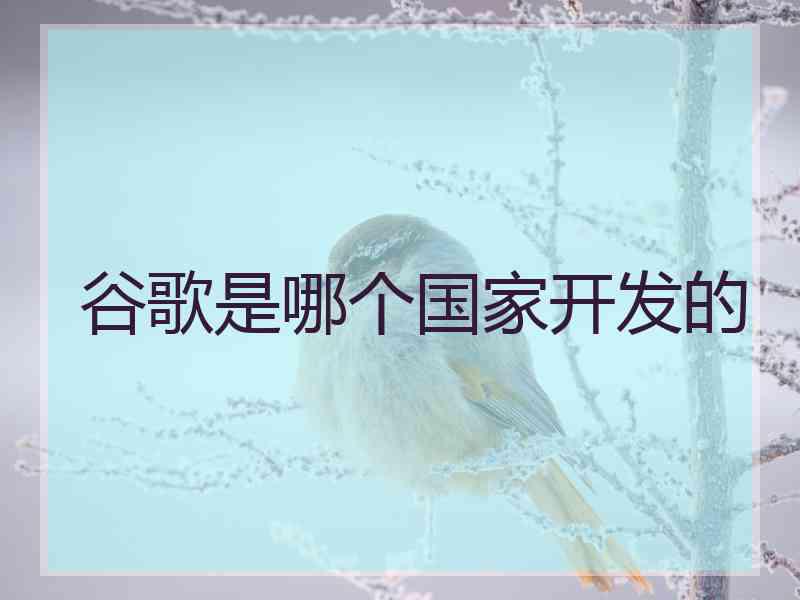 谷歌是哪个国家开发的