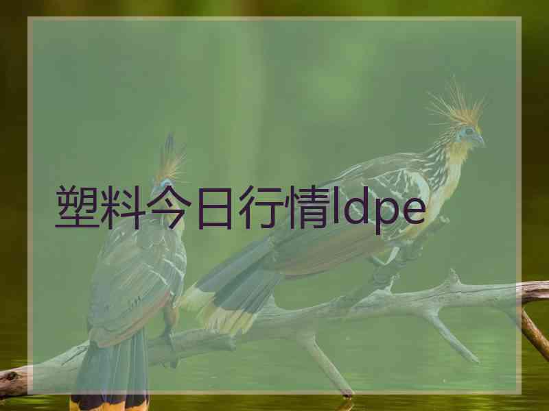 塑料今日行情ldpe