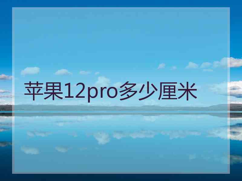 苹果12pro多少厘米