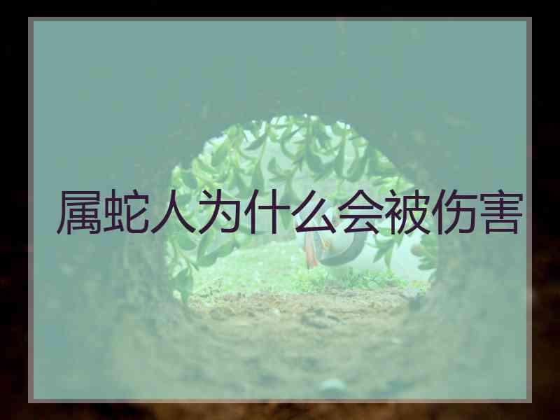 属蛇人为什么会被伤害