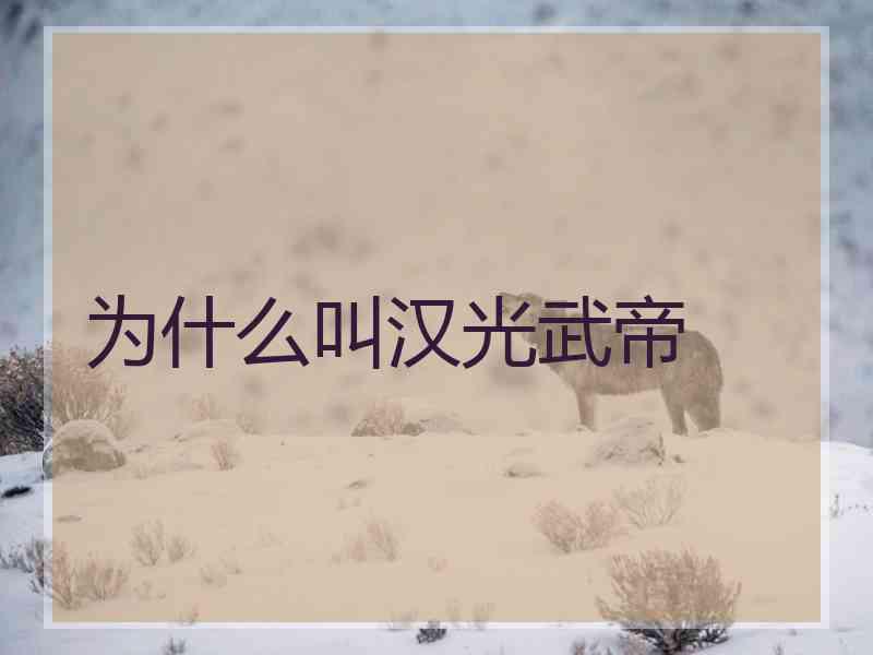 为什么叫汉光武帝