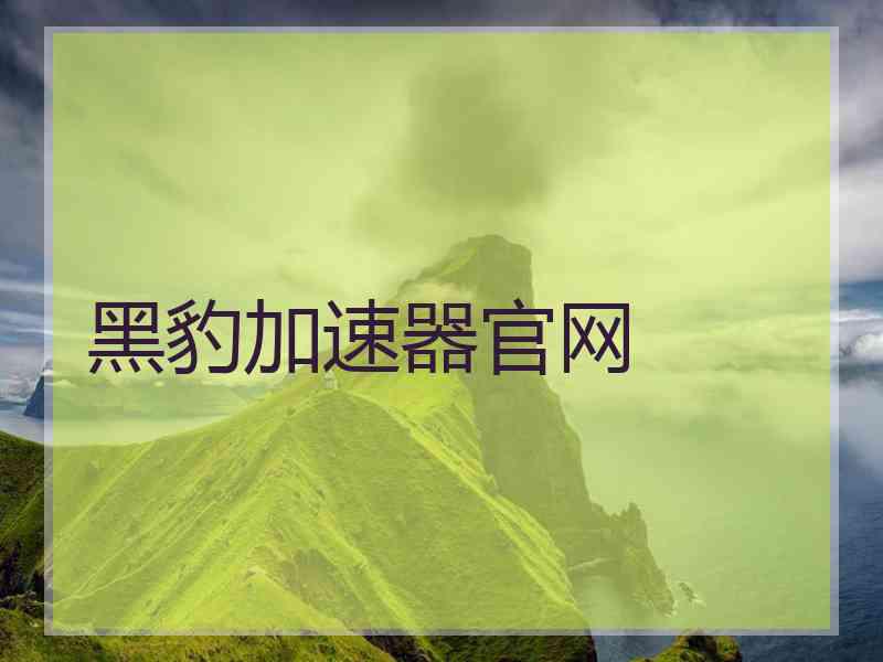 黑豹加速器官网