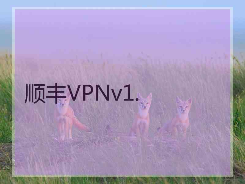 顺丰VPNv1.