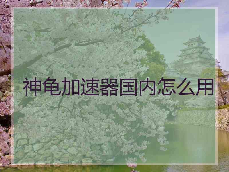 神龟加速器国内怎么用