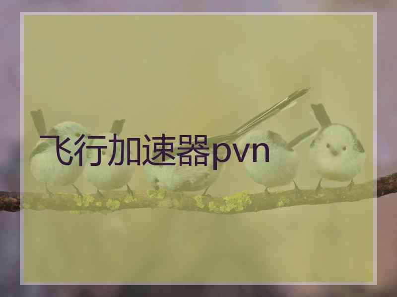 飞行加速器pvn