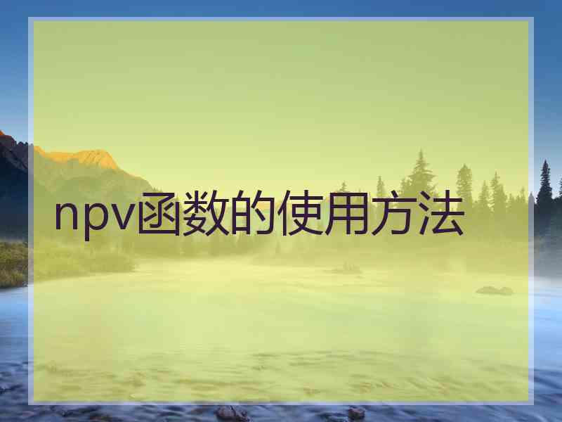 npv函数的使用方法