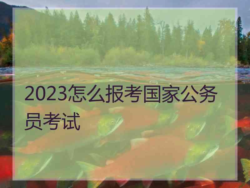 2023怎么报考国家公务员考试