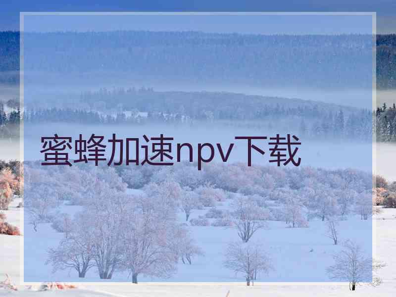 蜜蜂加速npv下载