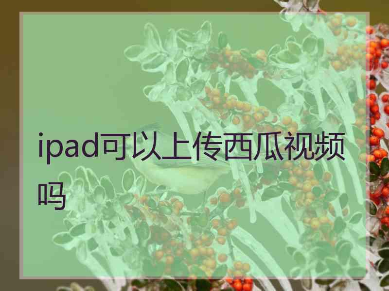 ipad可以上传西瓜视频吗