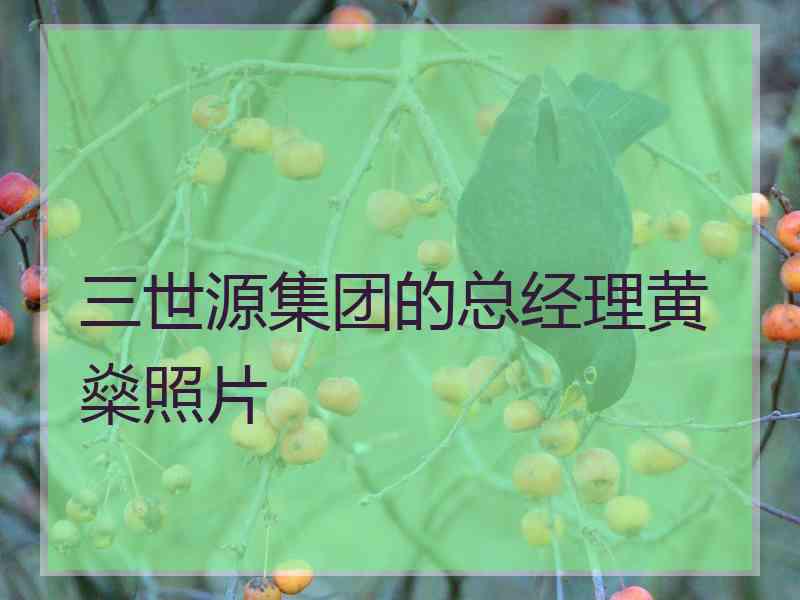 三世源集团的总经理黄燊照片