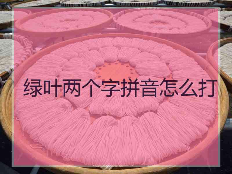绿叶两个字拼音怎么打