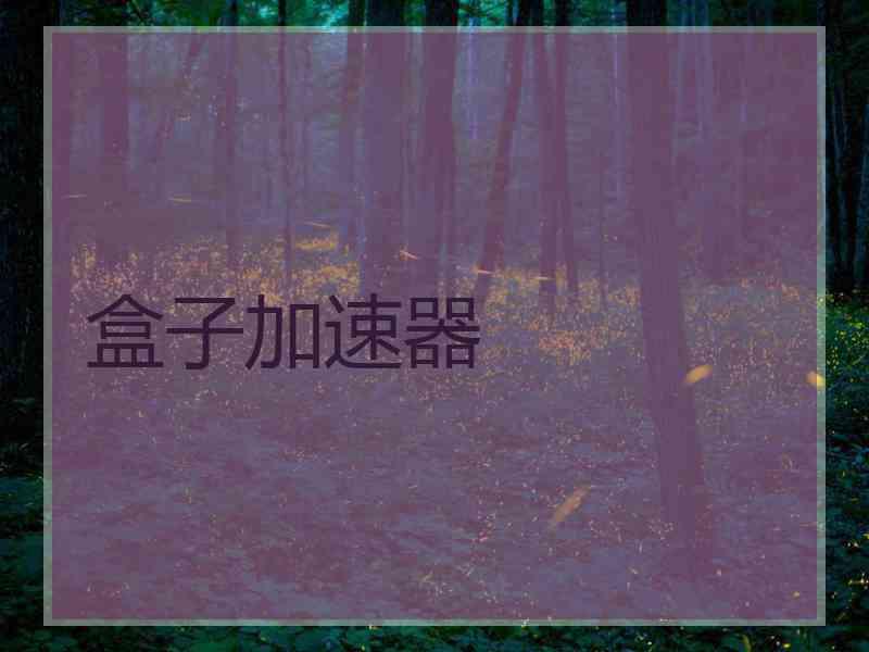 盒子加速器