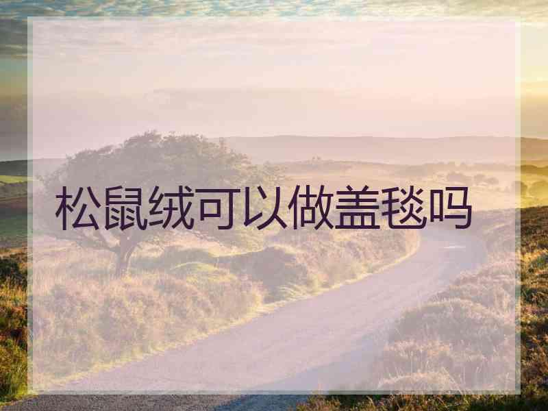 松鼠绒可以做盖毯吗
